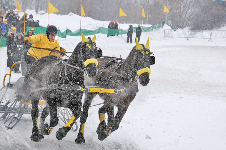 Horse racing at festival